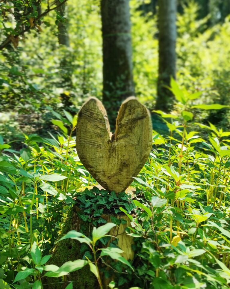 Waldbaden & Klang – wenn Natur dich wieder spüren lässt